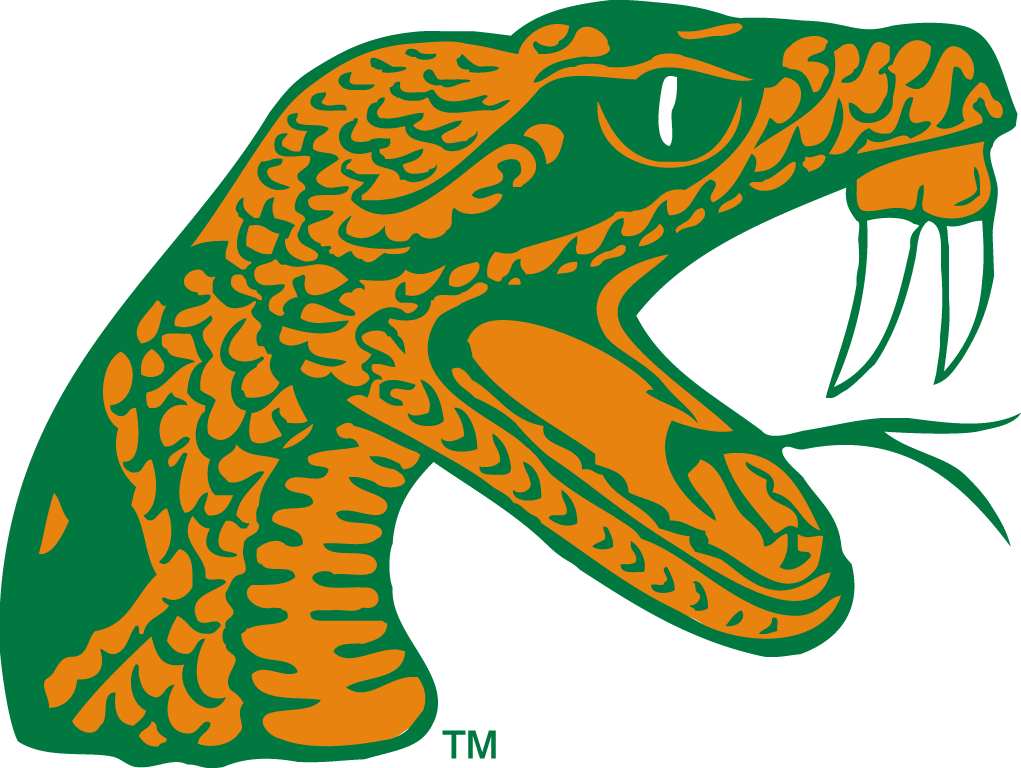 Florida A&M Rattlers 2006-pres alternate logo t shirts iron on transfers